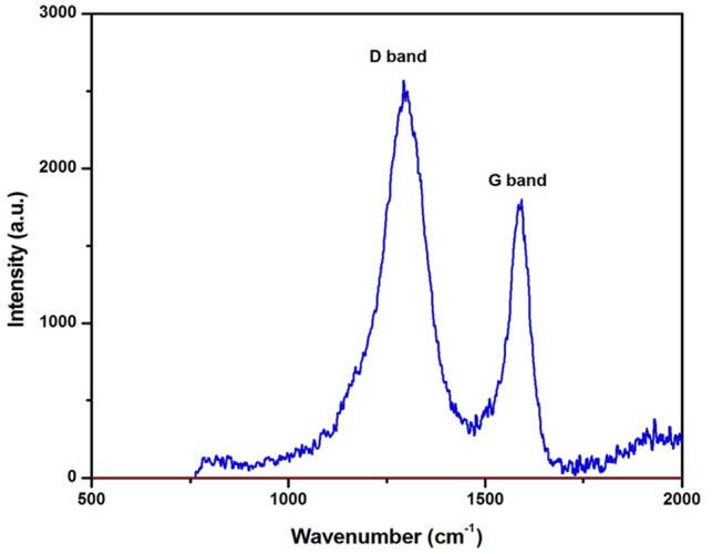 FIGURE 2