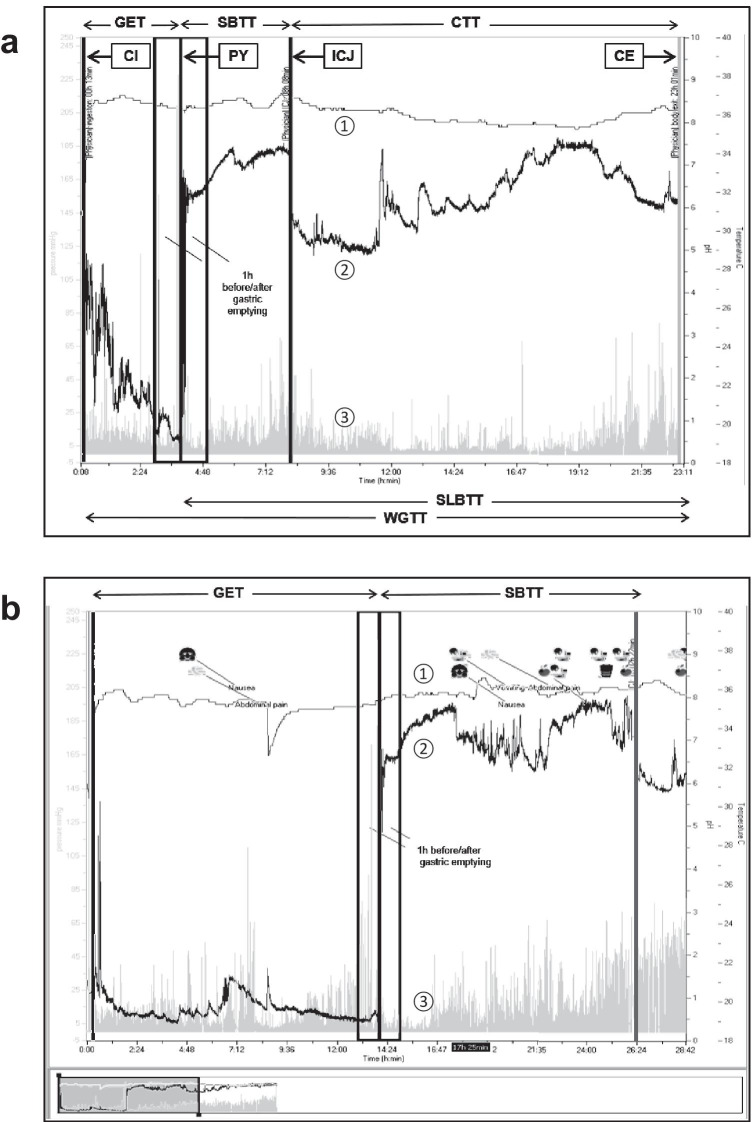 Fig. 1