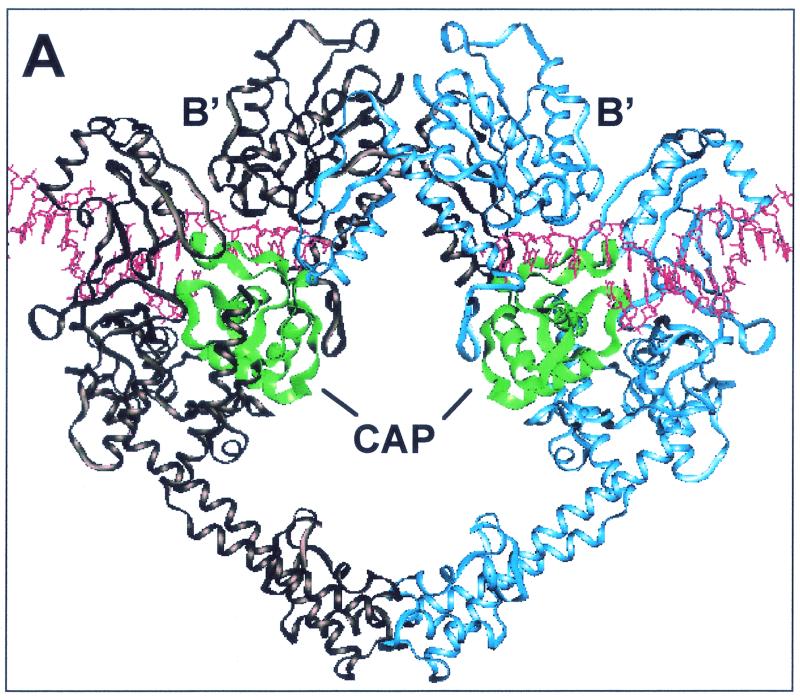 FIG. 1.