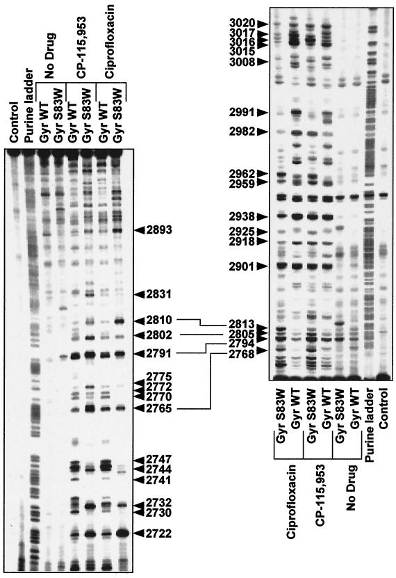 FIG. 4.