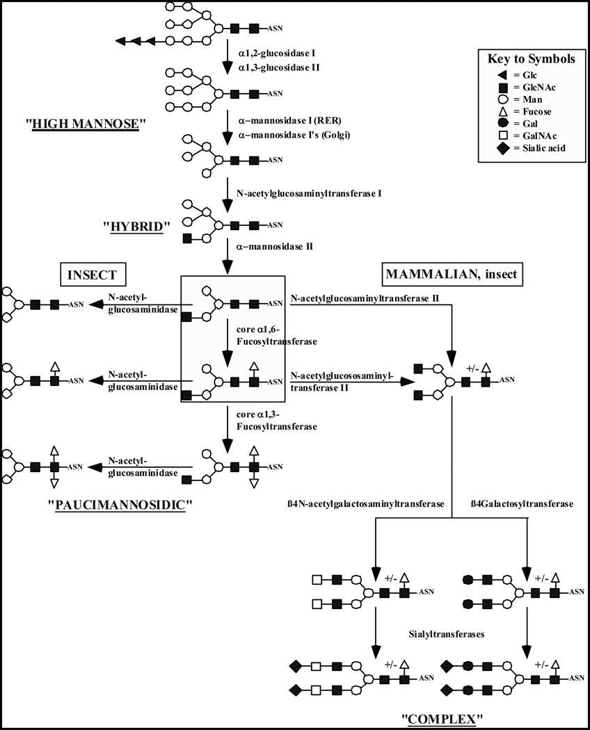 Fig. (1)