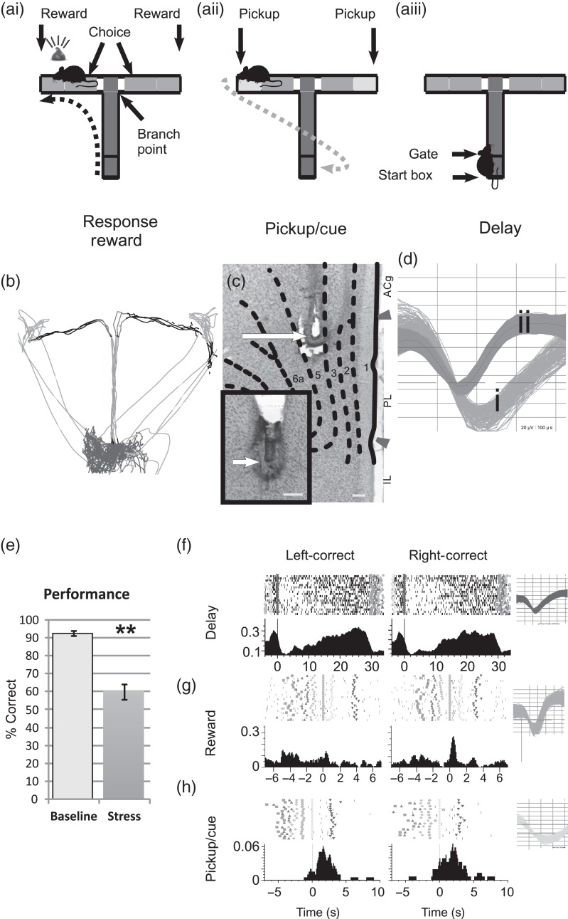 Figure 1.