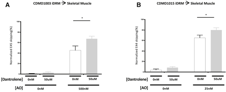 Figure 2