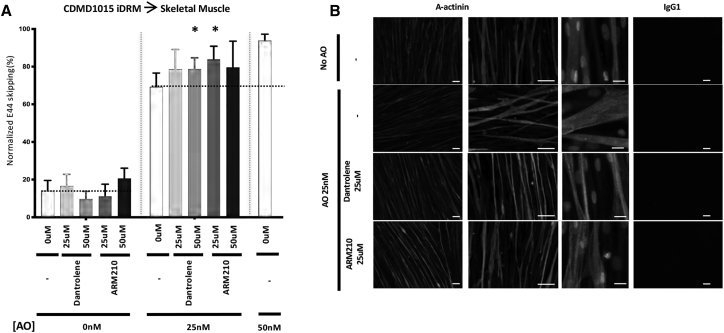 Figure 4