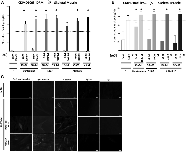 Figure 3