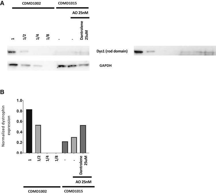 Figure 6