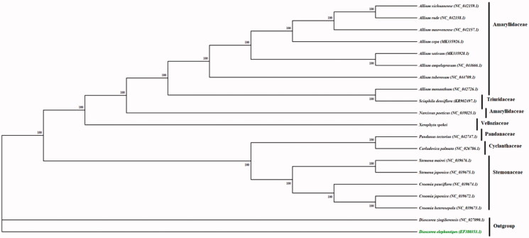 Figure 1.