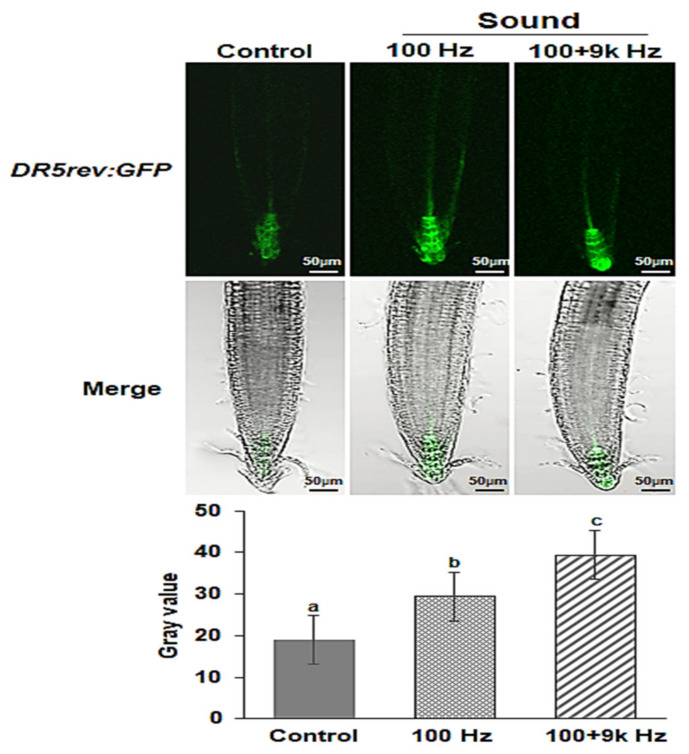 Figure 7