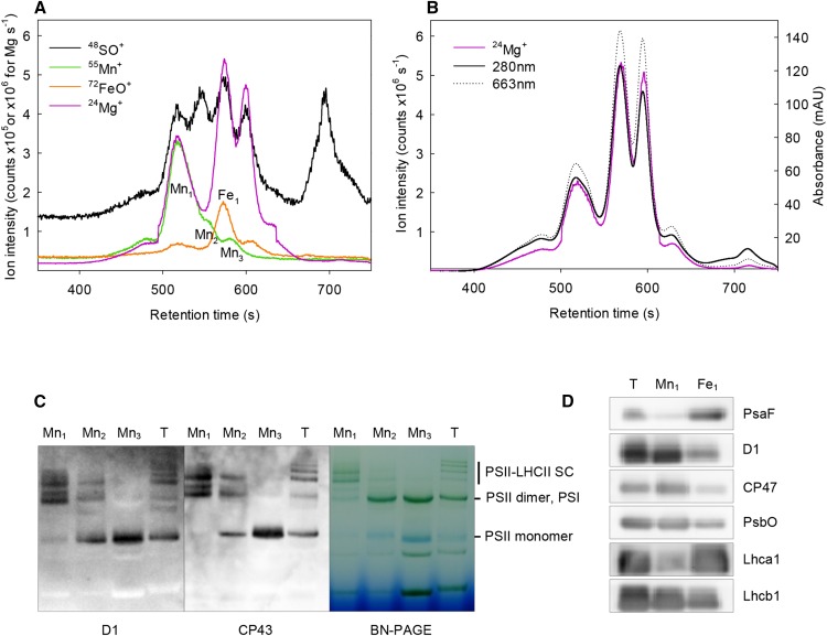 Figure 3.