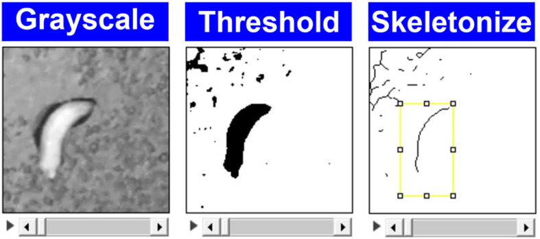 Figure 5.