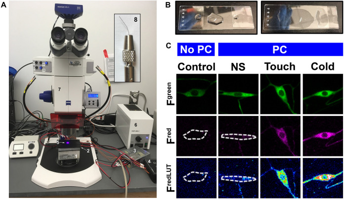 Figure 4.