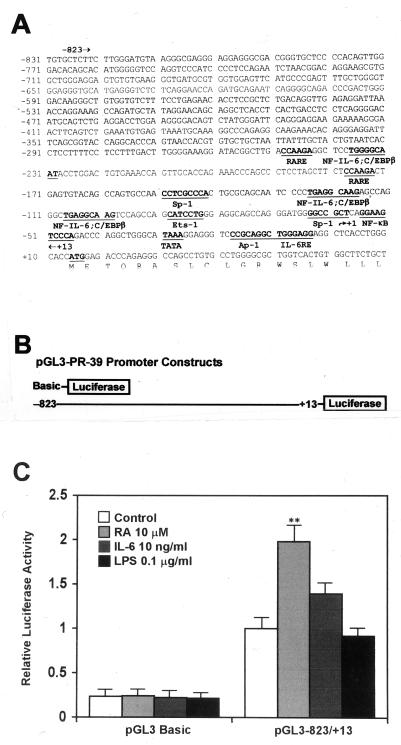 FIG. 6