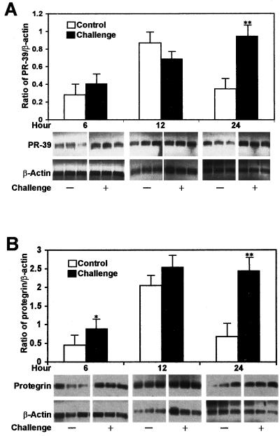 FIG. 7