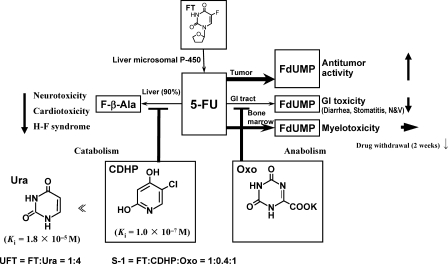 Figure 2.