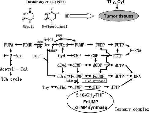 Figure 1.