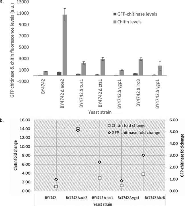 FIG 6