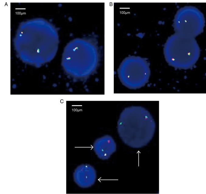 Figure 3.