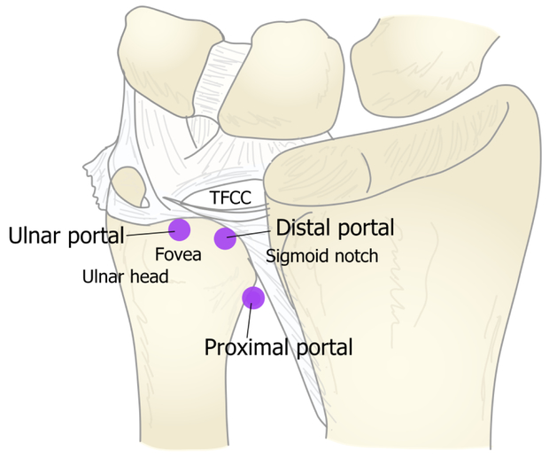 Figure 19.