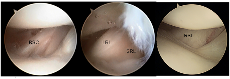 Figure 7.