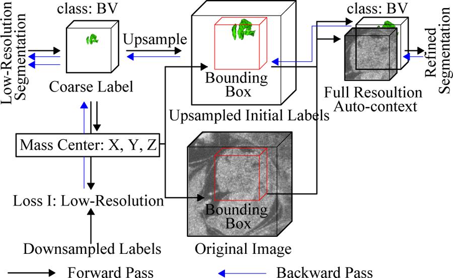 Fig. 3: