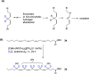 Scheme 6