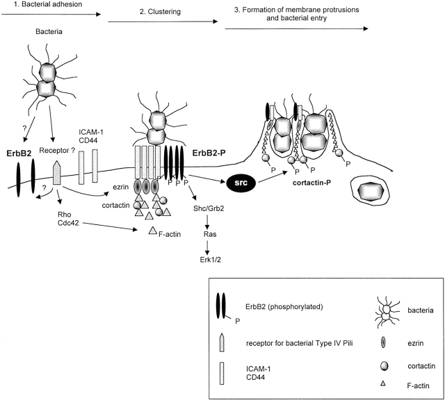 Figure 9.