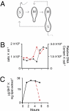 Fig. 5.