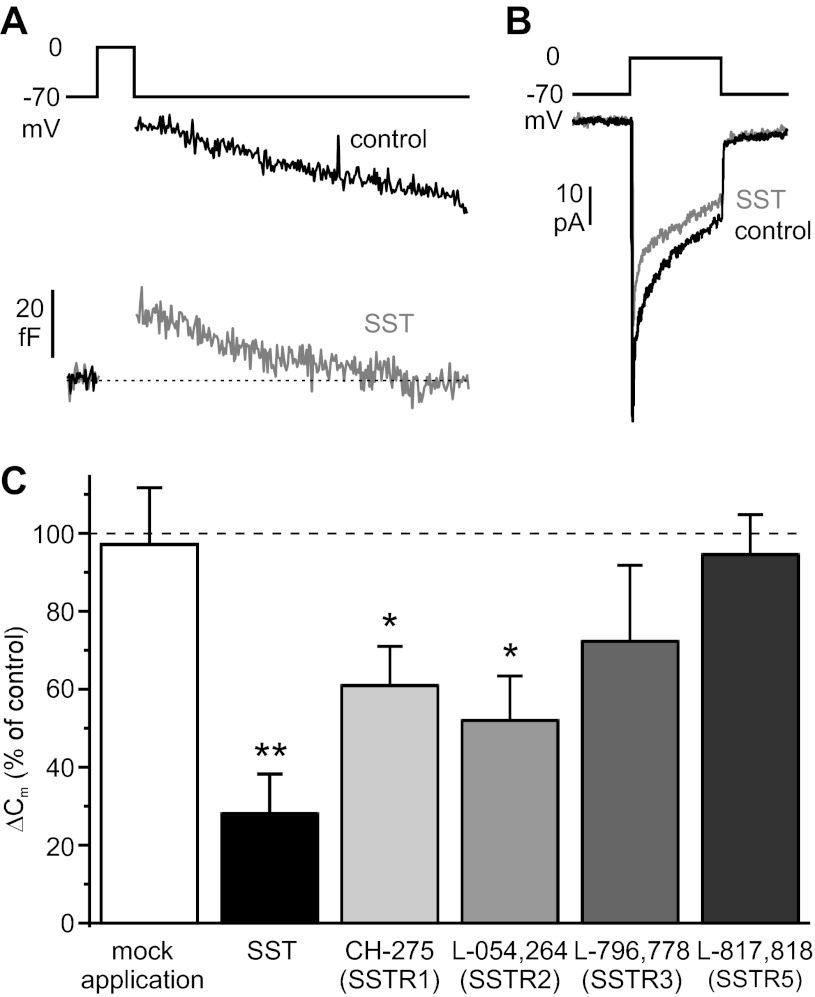 Fig. 8.