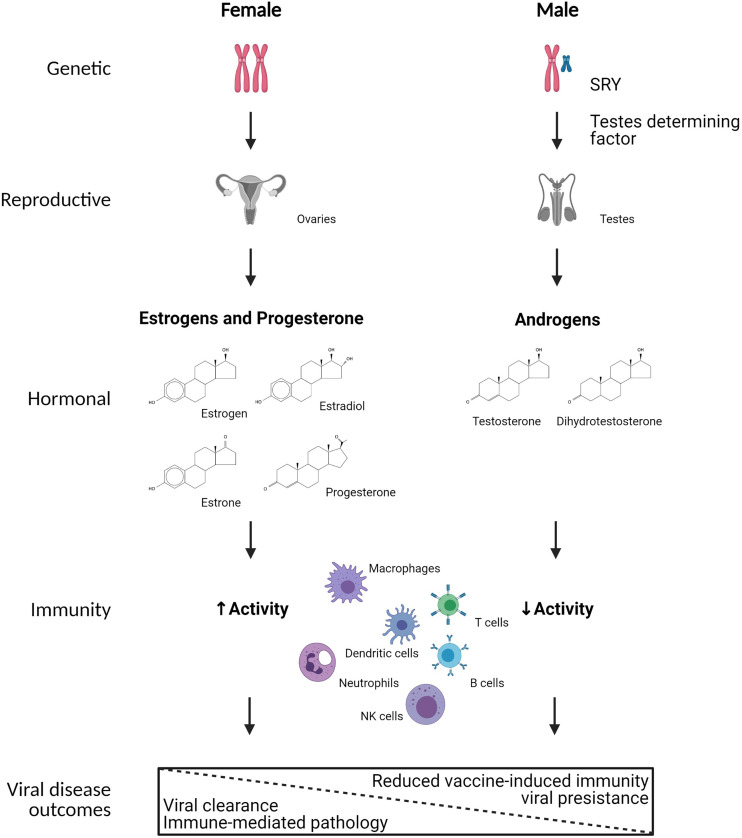 Figure 1