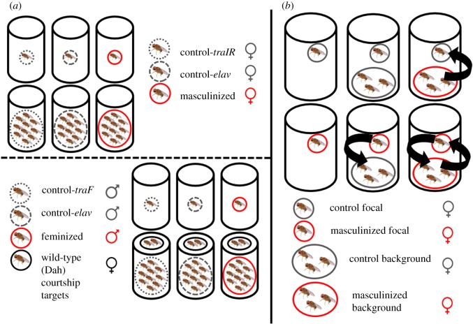 Figure 1.