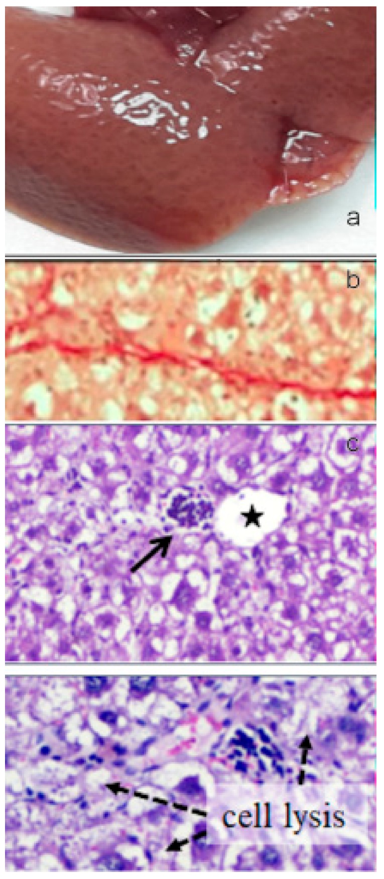 Figure 13