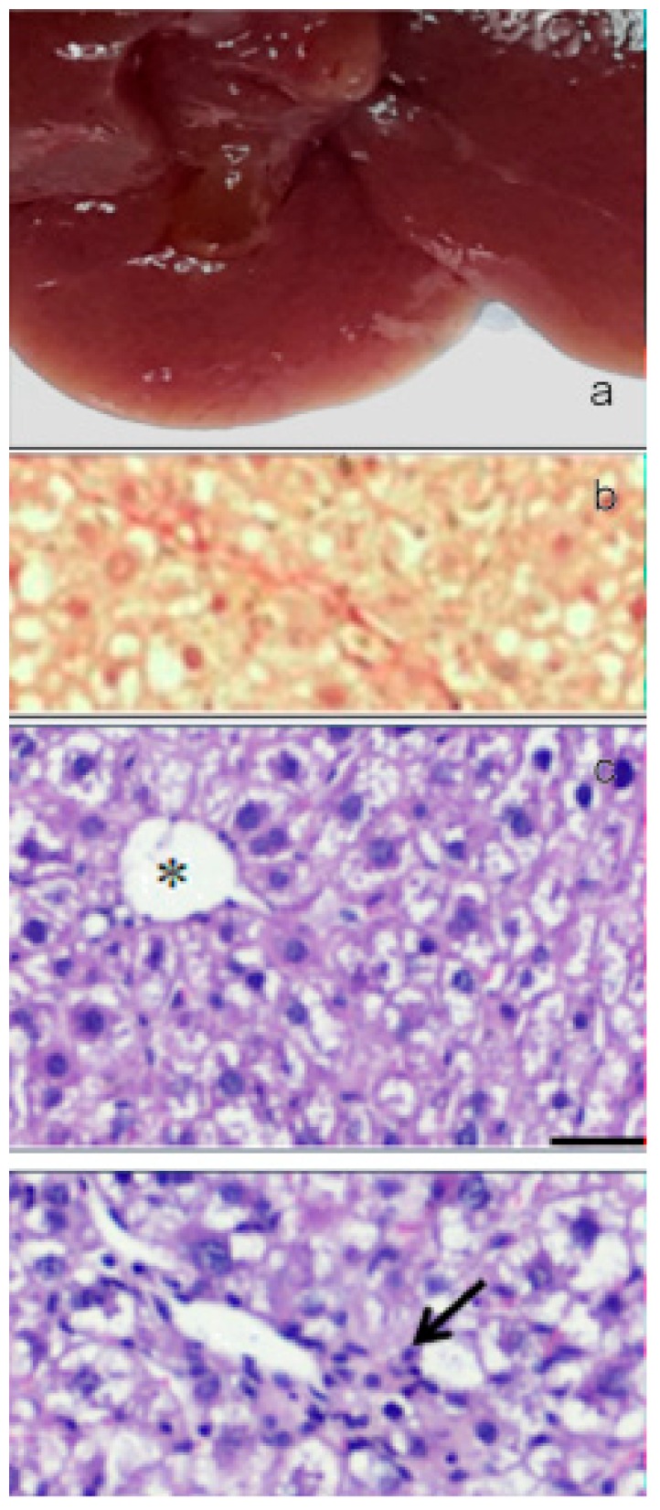 Figure 14