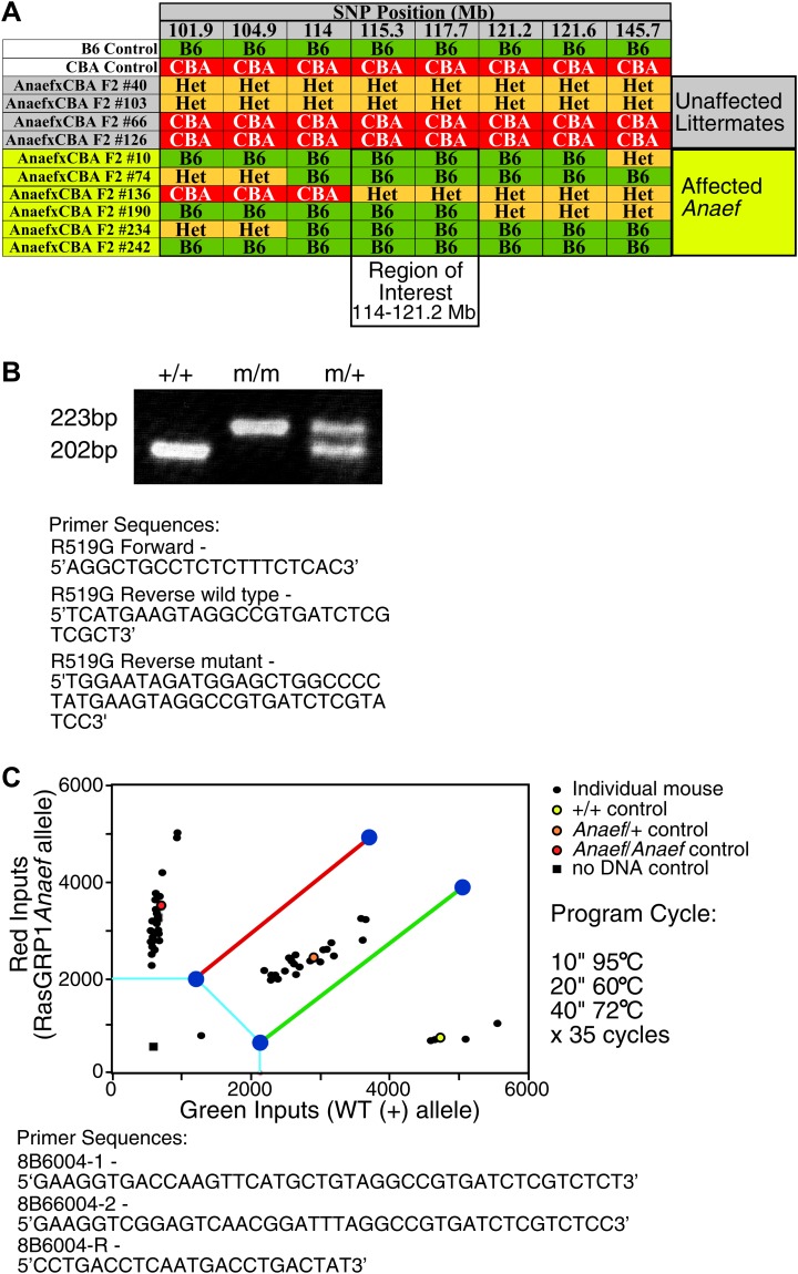 Figure 1—figure supplement 1.