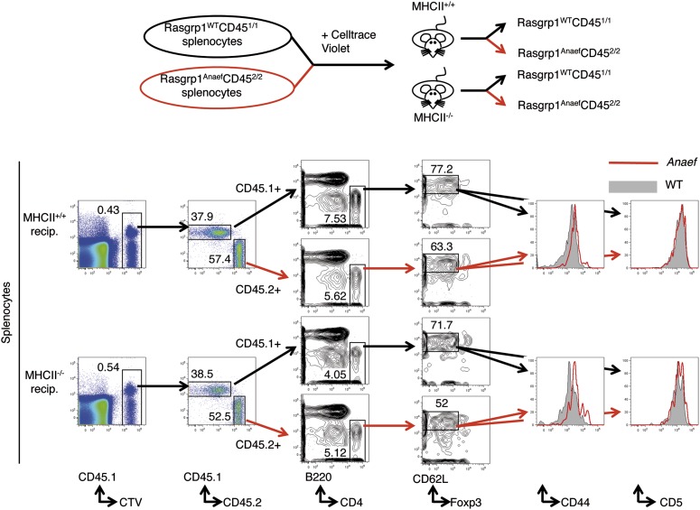 Figure 10—figure supplement 1.