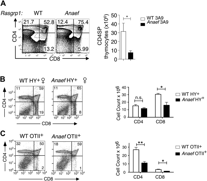 Figure 5—figure supplement 2.