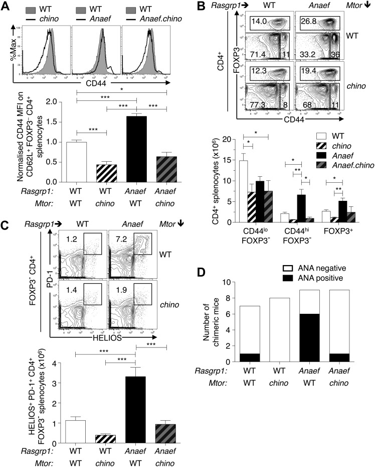 Figure 11.