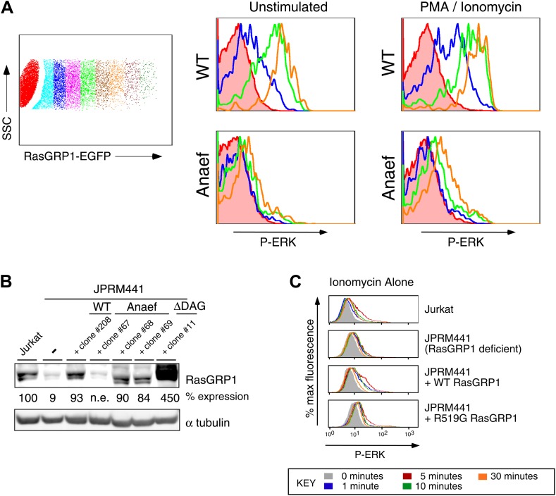 Figure 4—figure supplement 1.