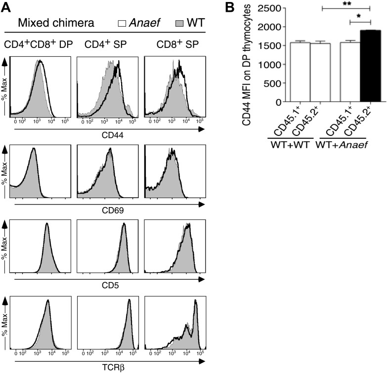 Figure 9—figure supplement 1.