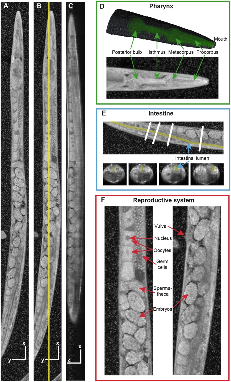 Fig 3