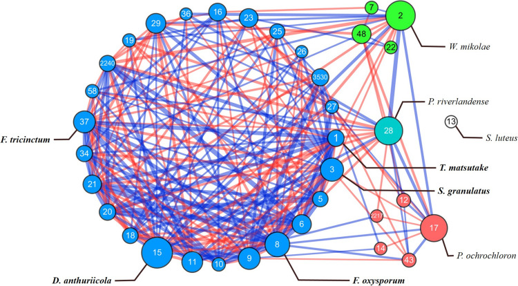 FIGURE 3
