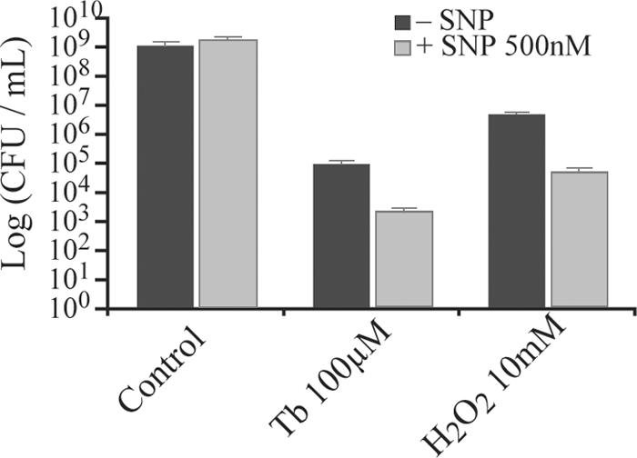 FIG. 7.