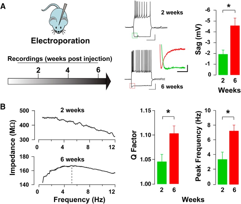 Figure 6.