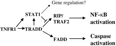 FIG. 7