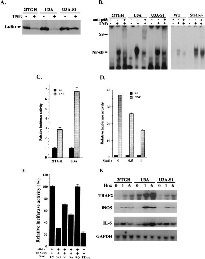 FIG. 5