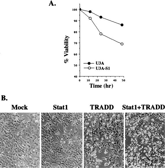 FIG. 6