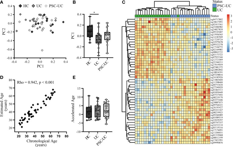 Figure 1