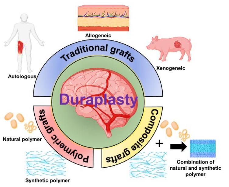 Graphical abstract