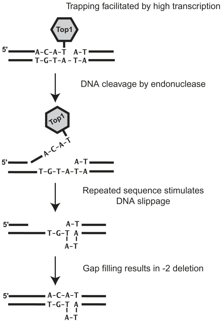 Fig. 3.