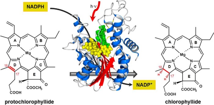 FIGURE 1.