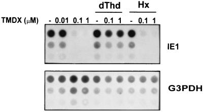 FIG. 7